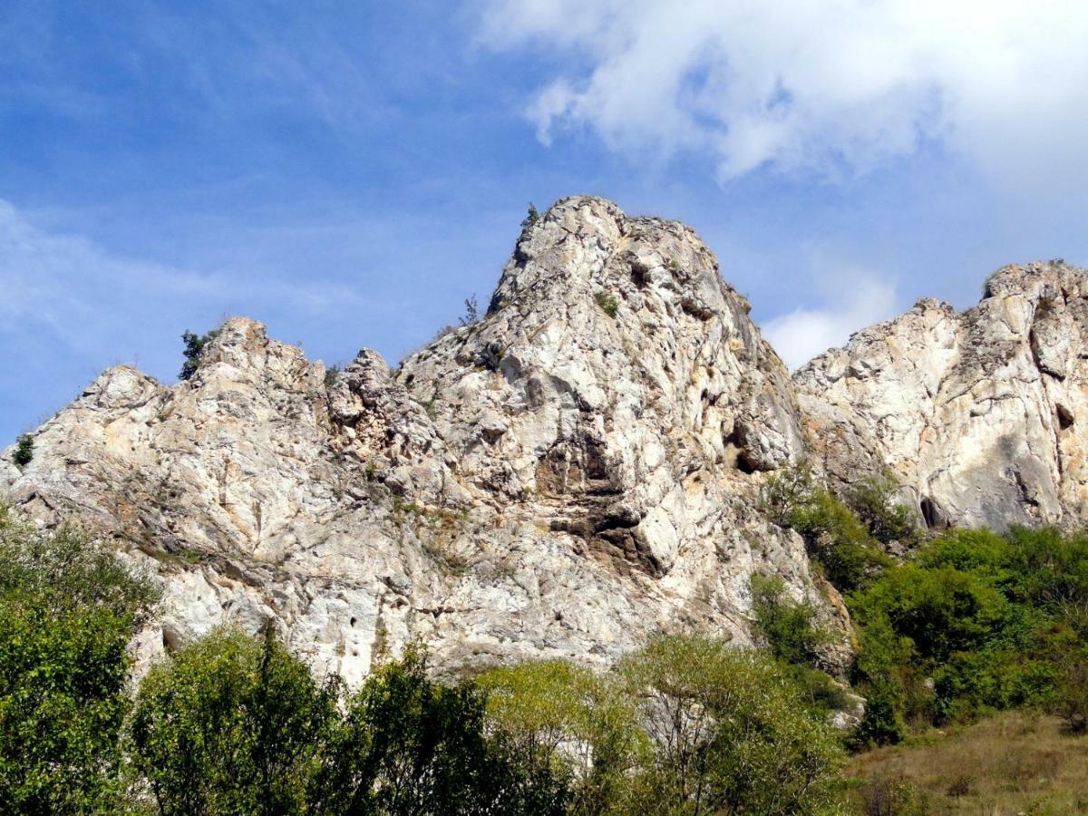 Hotel Aleksievata Kashta Gurgulyat Bagian luar foto