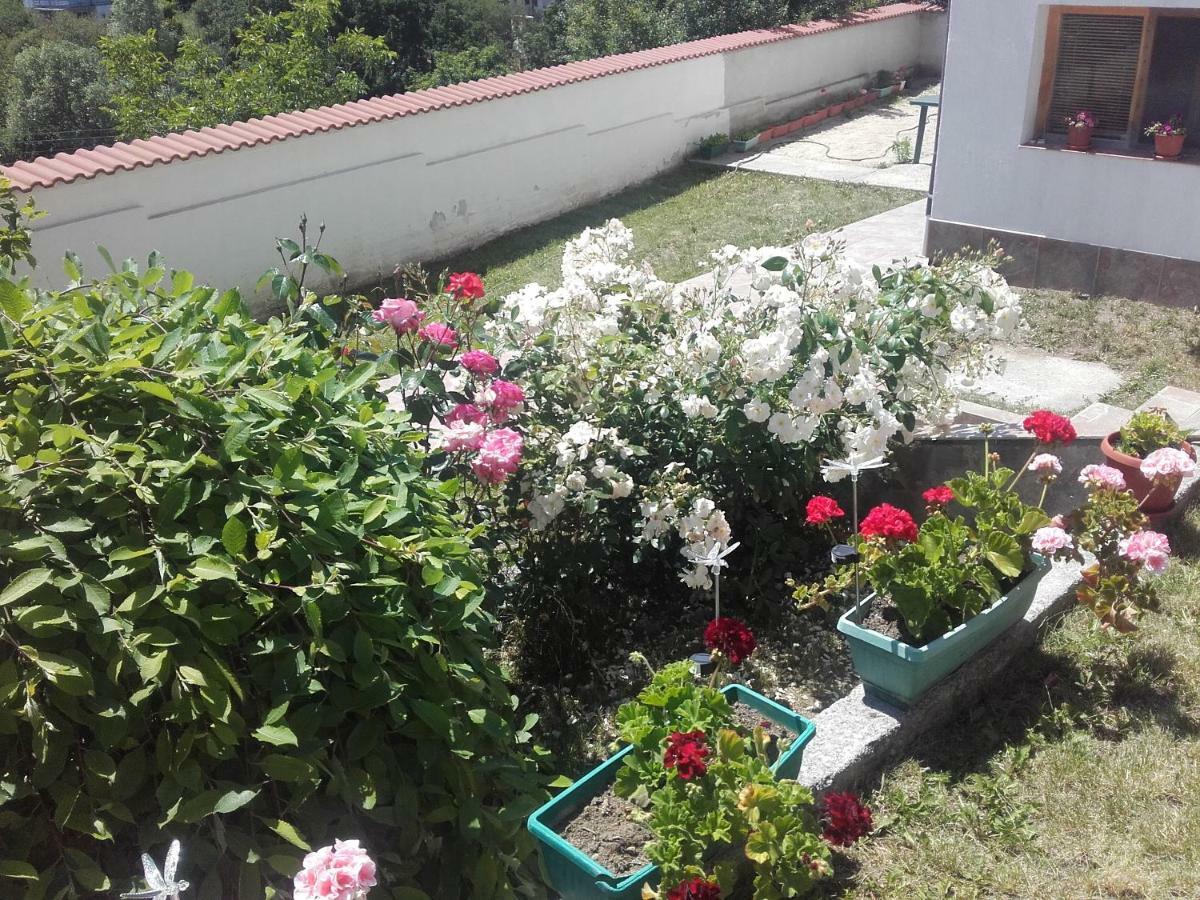 Hotel Aleksievata Kashta Gurgulyat Bagian luar foto